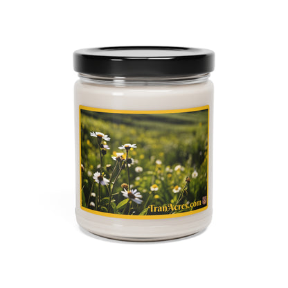 White Sage + Lavender Scented Soy Candle, 9oz